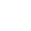 zebra-white